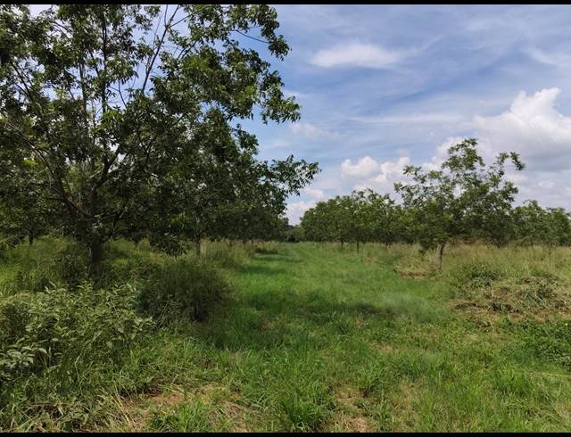 96HA FARM FOR SALE IN HEKPOORT